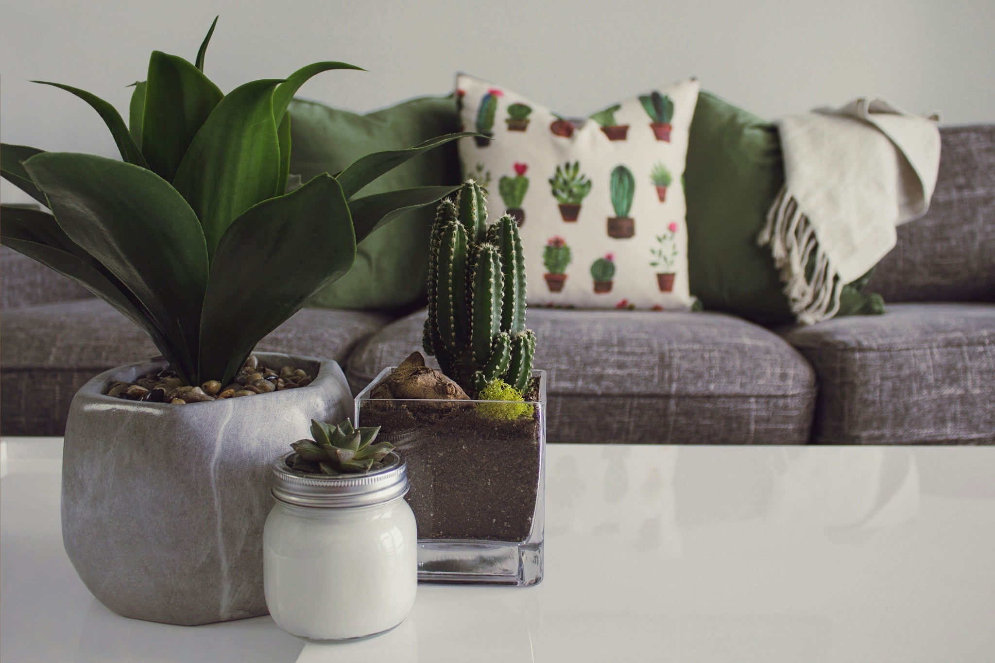 INDOOR & OUTDOOR DECOR